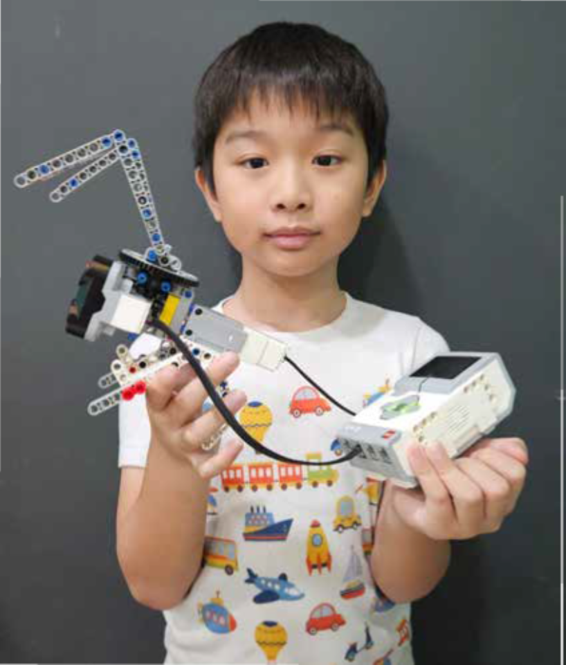 Project 4: Touch Activated Automated Rabbit Head